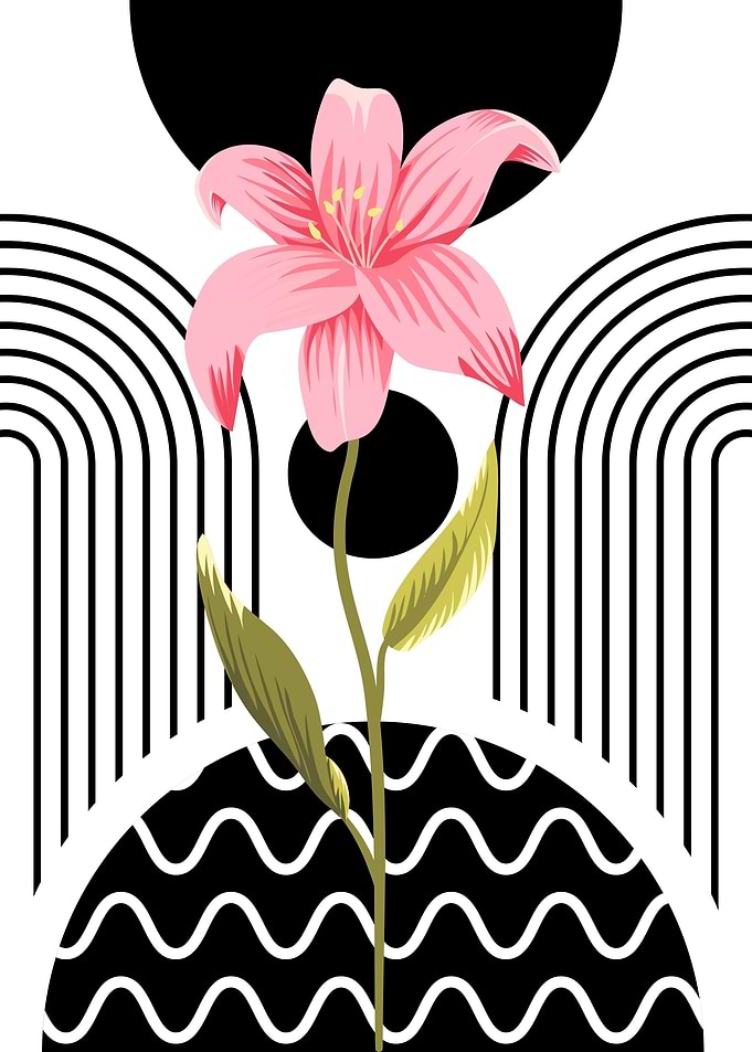 Pink Lily with Geometric Background