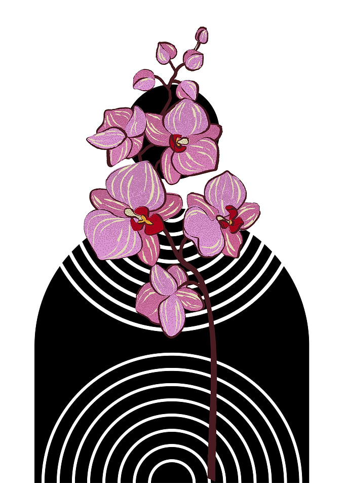 Pink Orchids with Geometric Background