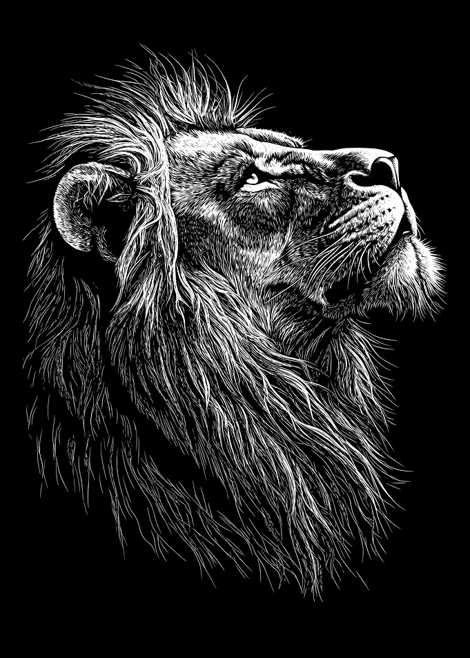 Lion Head Black and White Illustration