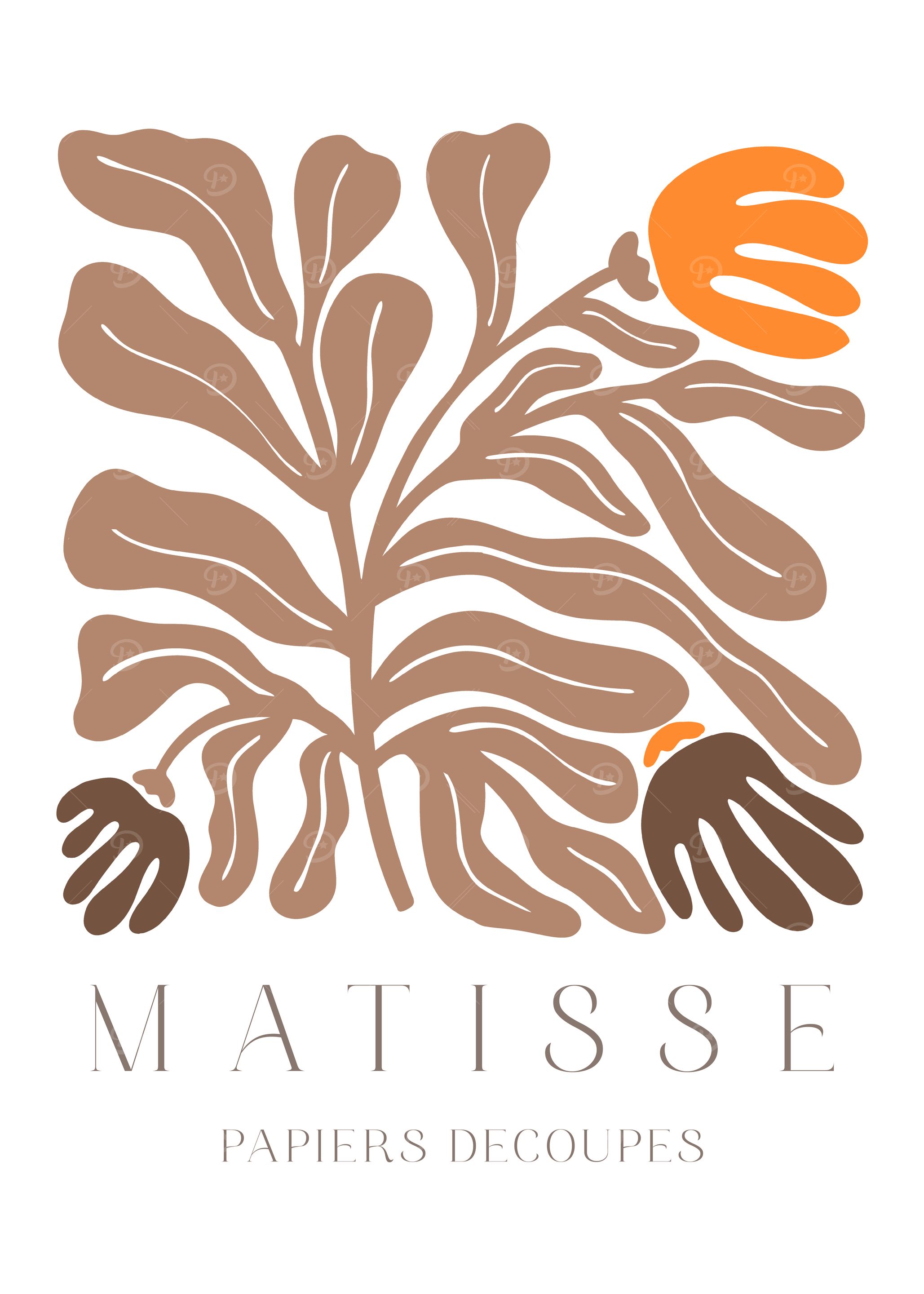 MATISSE | Plante à trois fleurs