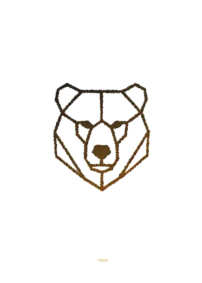 Geometric Bear Head Illustration