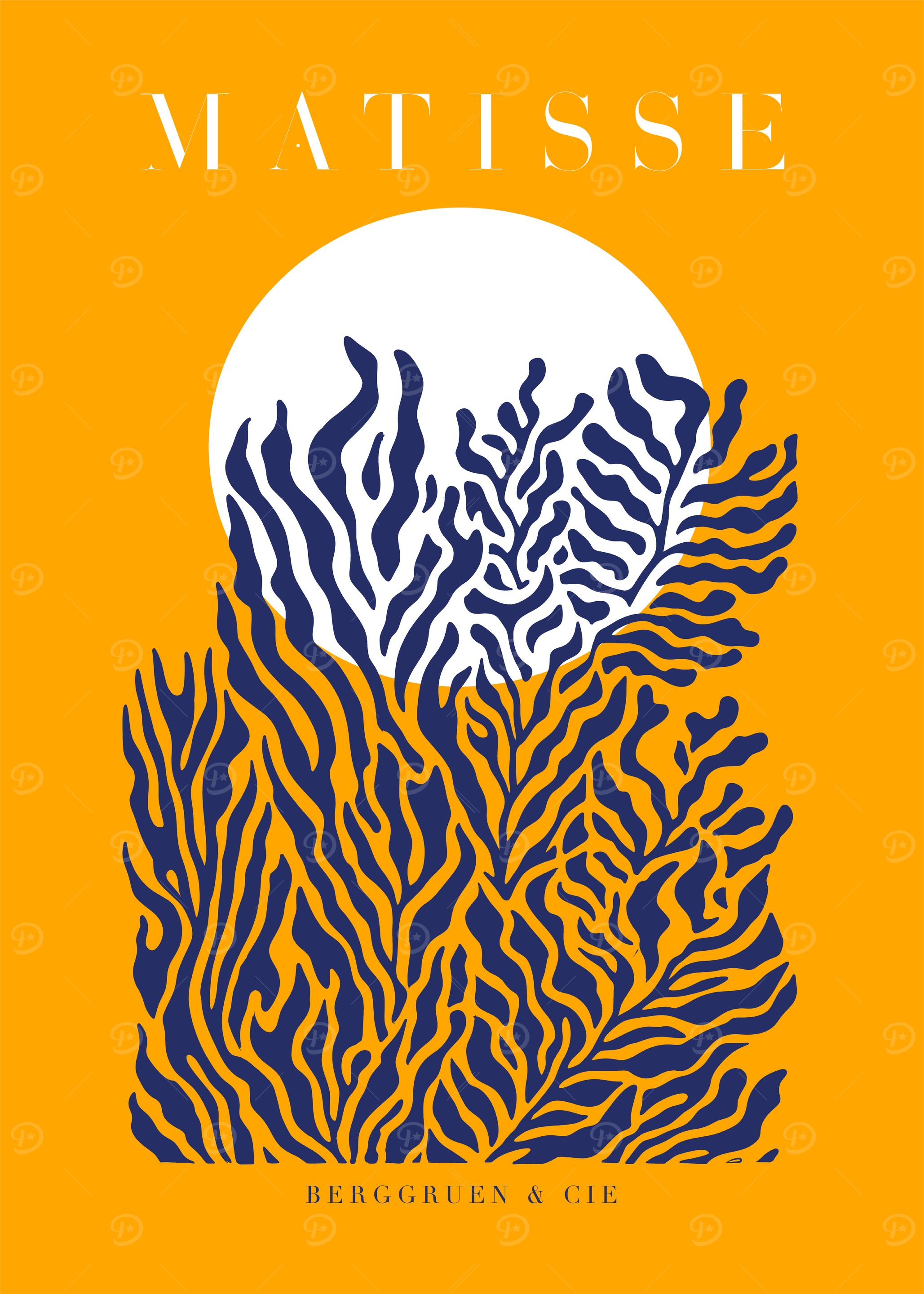MATISSE | Soleil Blanc