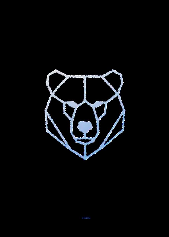 Geometric Bear Head on Black Background