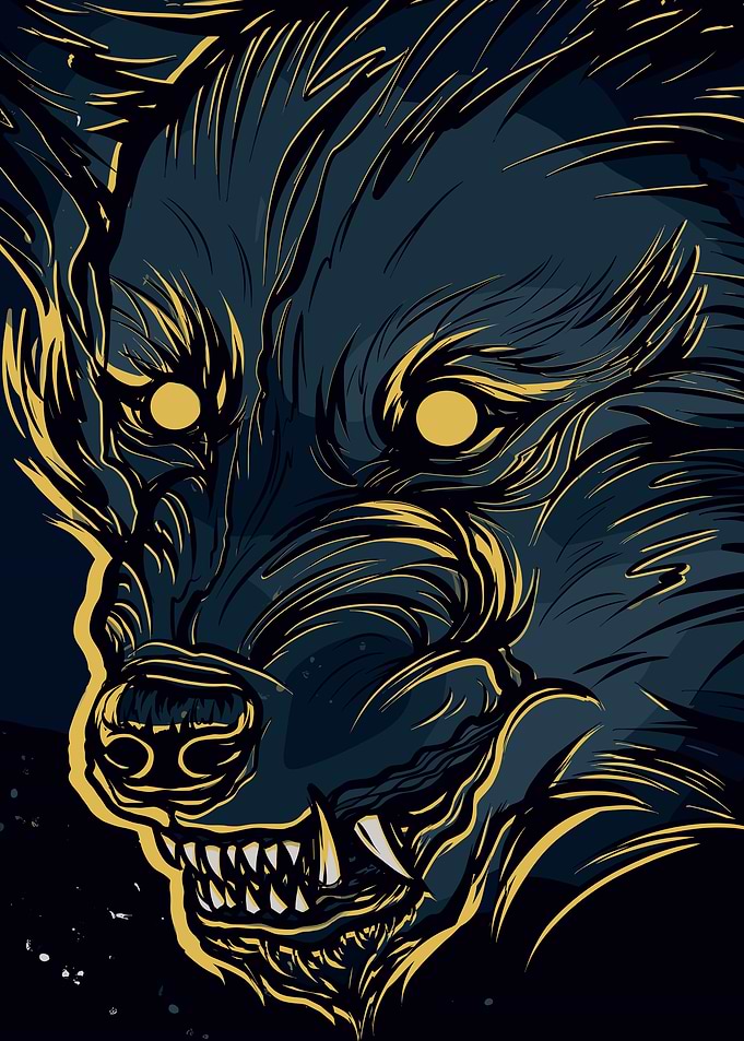Stylized Wolf Portrait