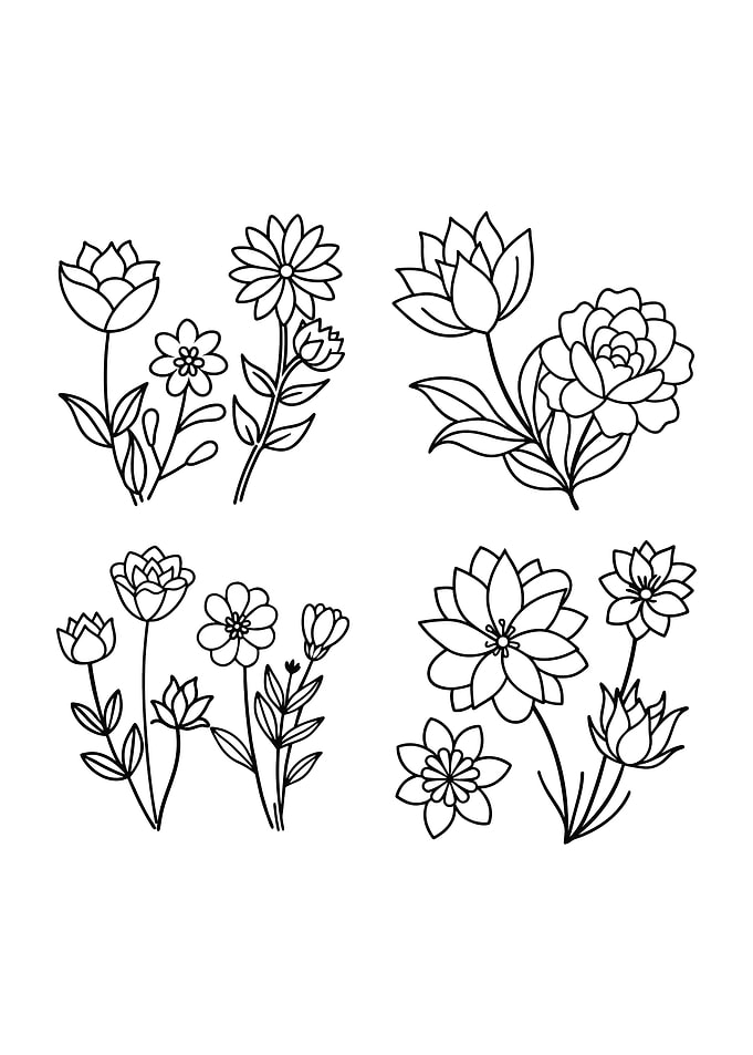 Floral Line Art Collection