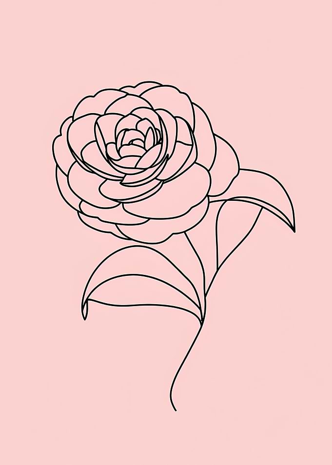 Minimalist Rose Line Art on Pink