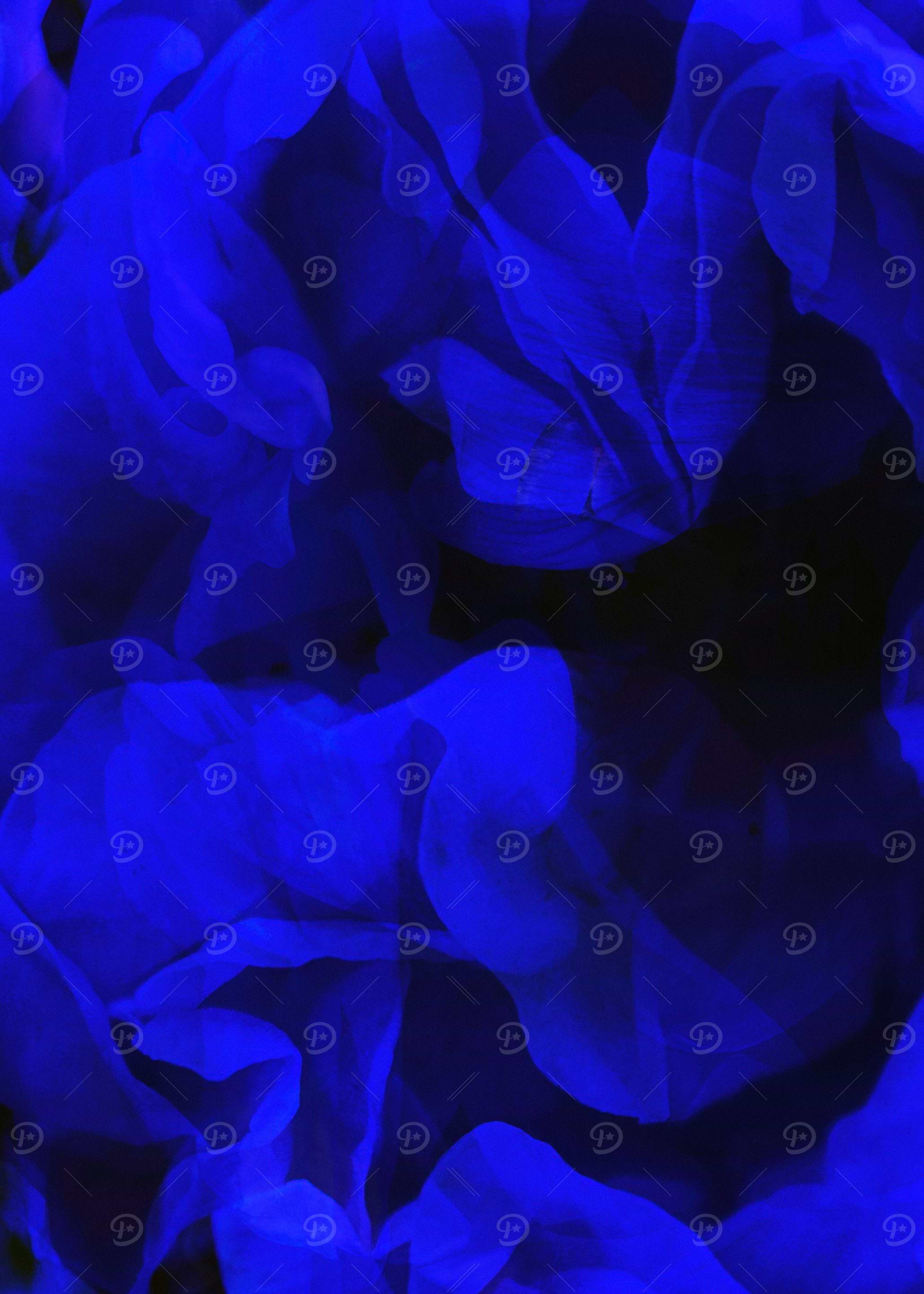 Abstract Blue Fabric Texture