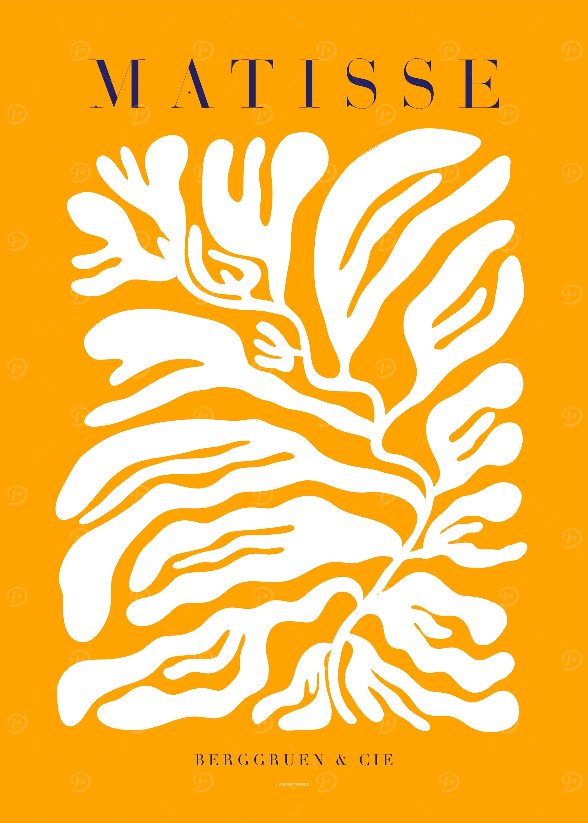 MATISSE | Plante blanche