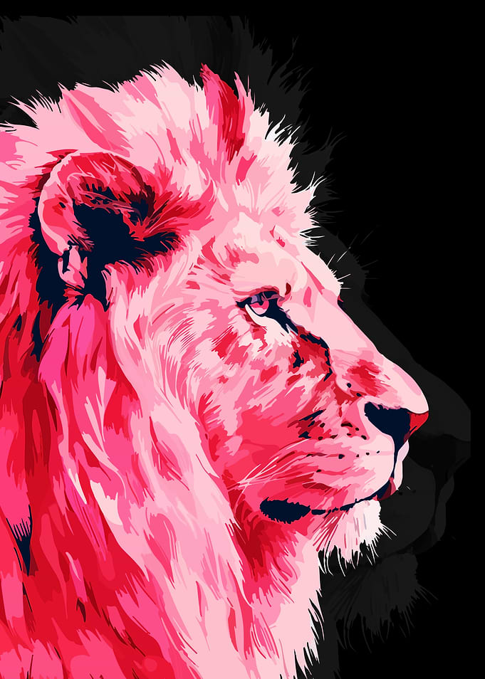 Pink Lion Portrait on Black Background
