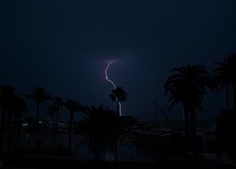 Lightning Strike Over Palm Trees