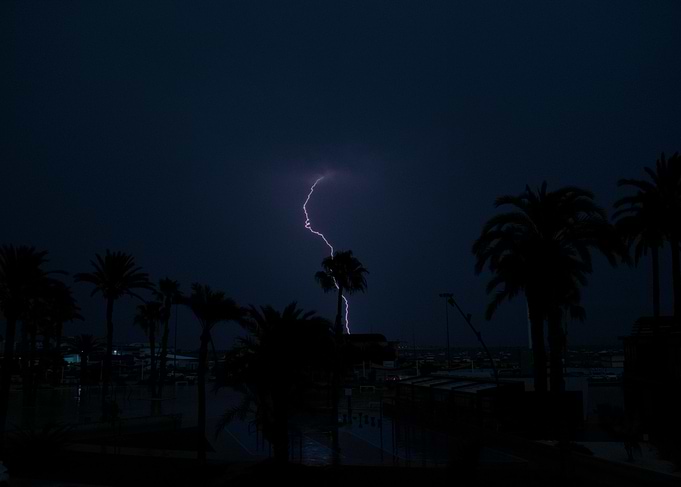 Lightning Strike Over Palm Trees