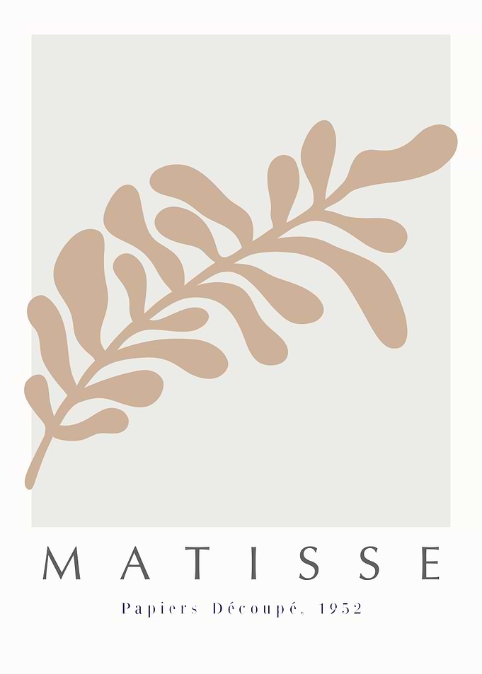 MATISSE | Feuille T50C