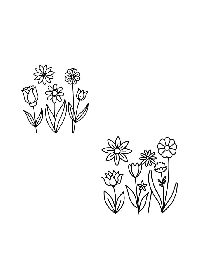 Floral Line Art Flower Arrangements