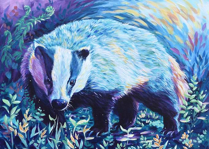 Badger in Blue
