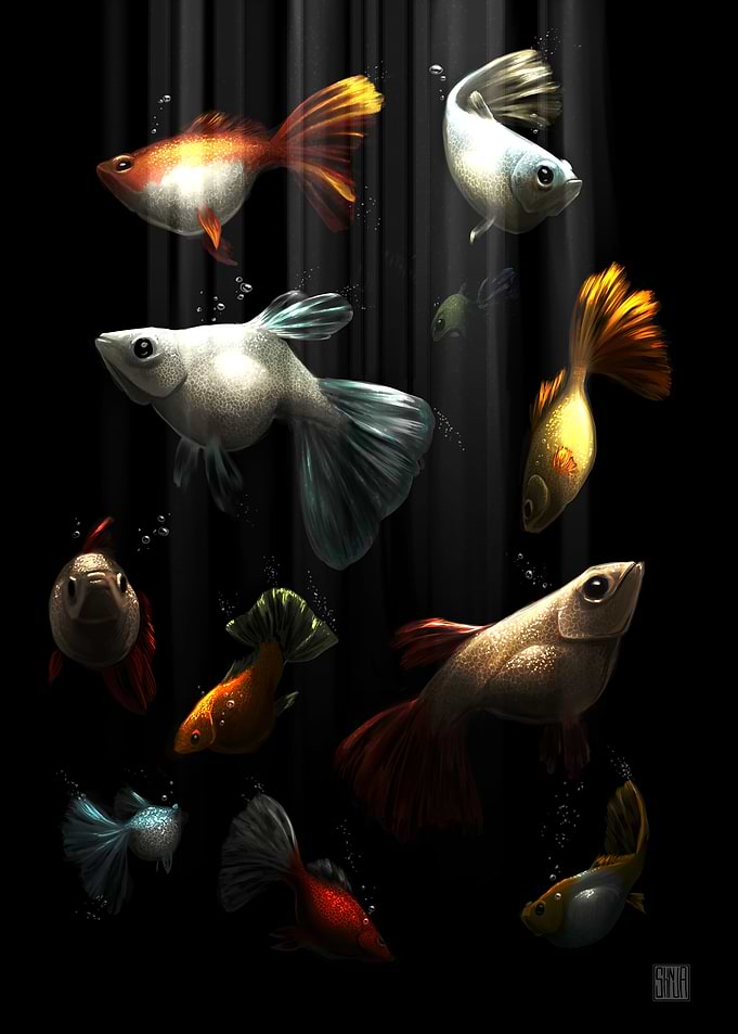 Guppy Fish in Dark Water