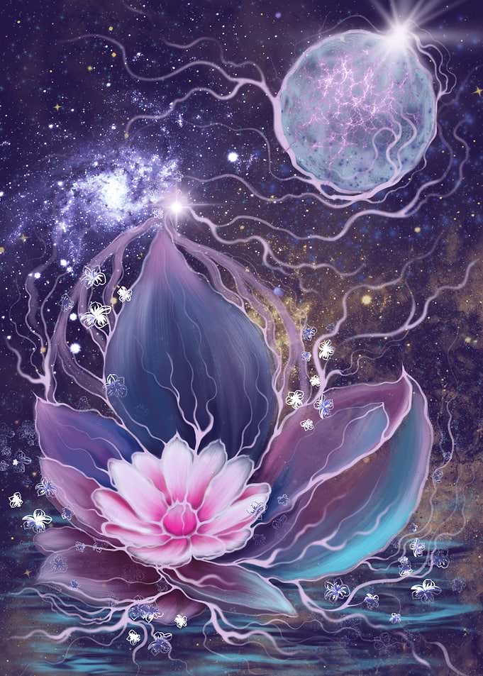 Pink Lotus Floating in Blue Water Night Sky