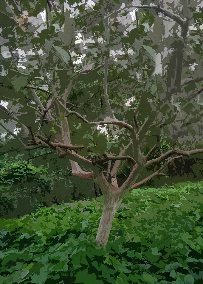 Tree in a Lush Green Forest 3