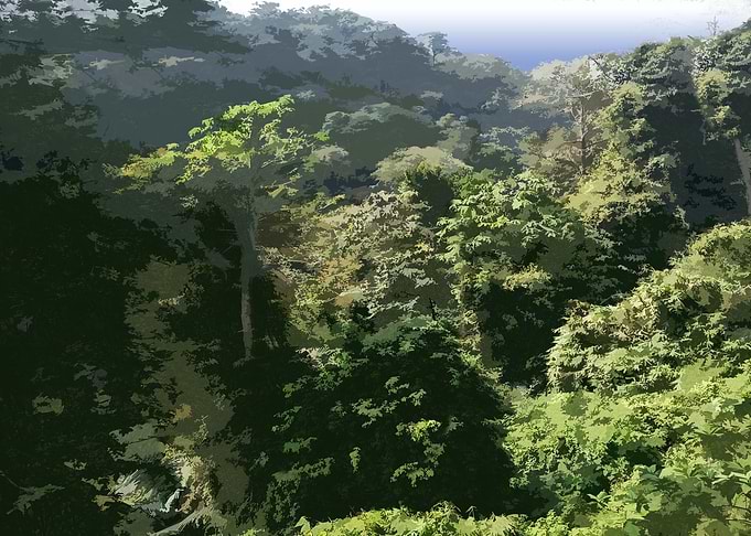 Lush Green Forest Landscape Illustration 1