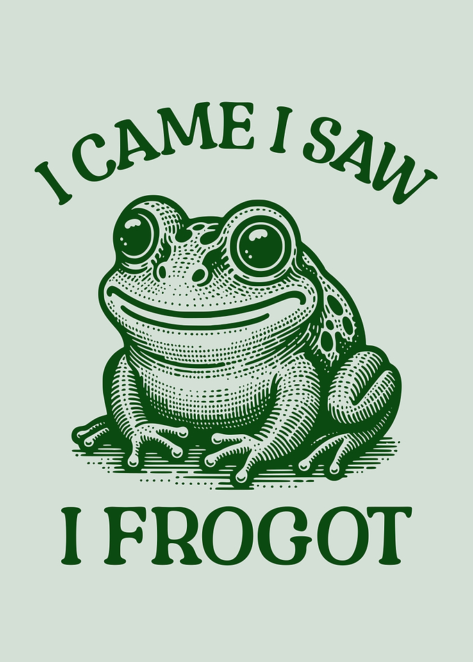 I Came I Saw I Frogot Funny Frog Pun