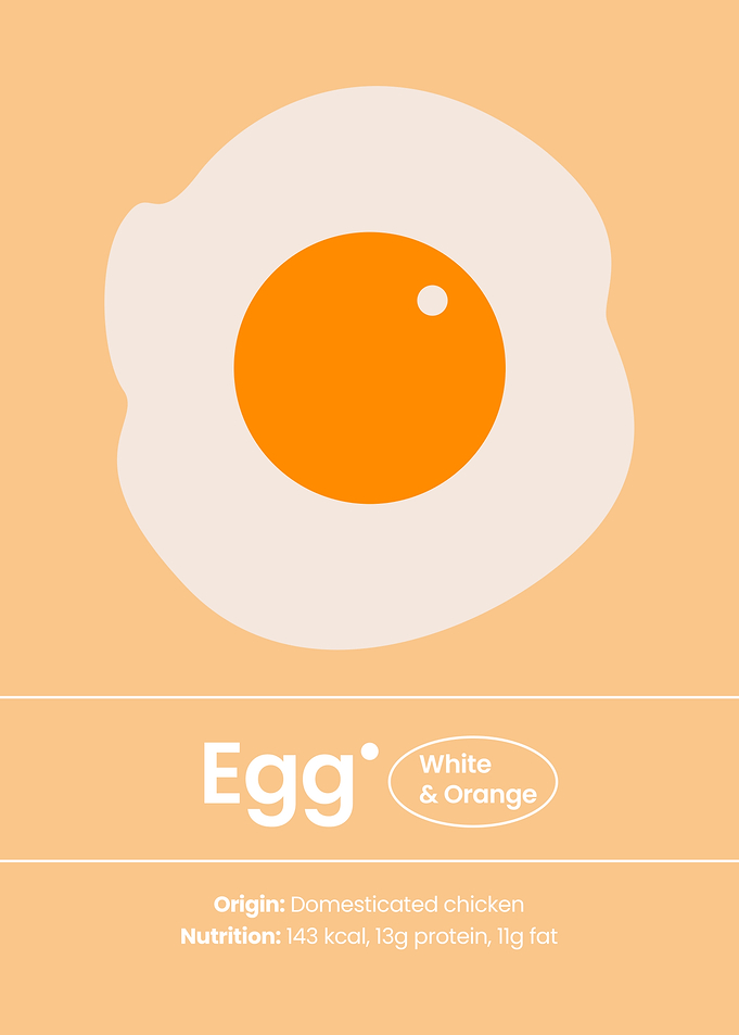 The Art of Egg