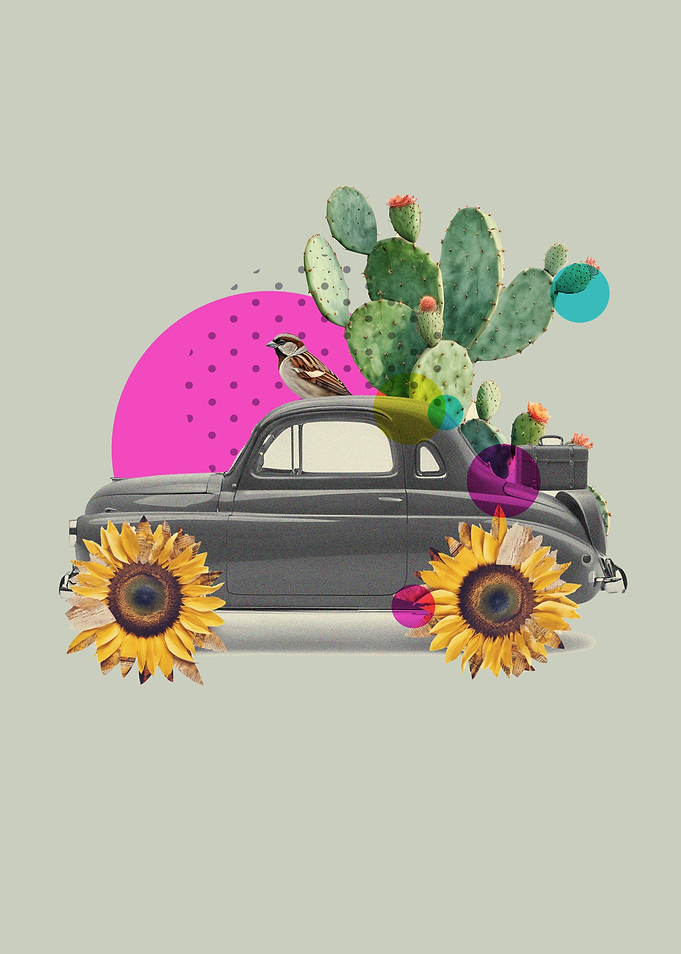 Vintage Car with Cactus and Sunflowers