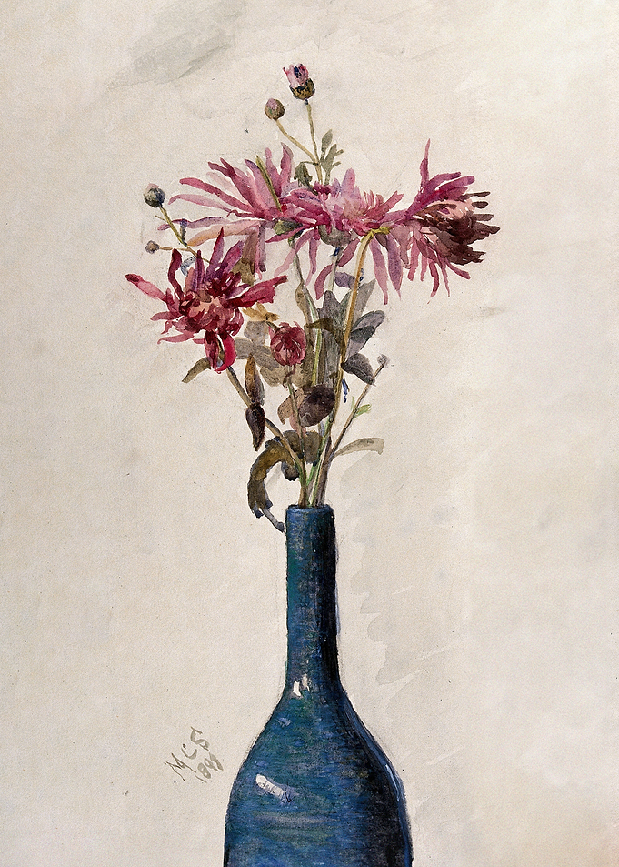 Pink flowers, possibly chrysanthemums, arranged in a bottle