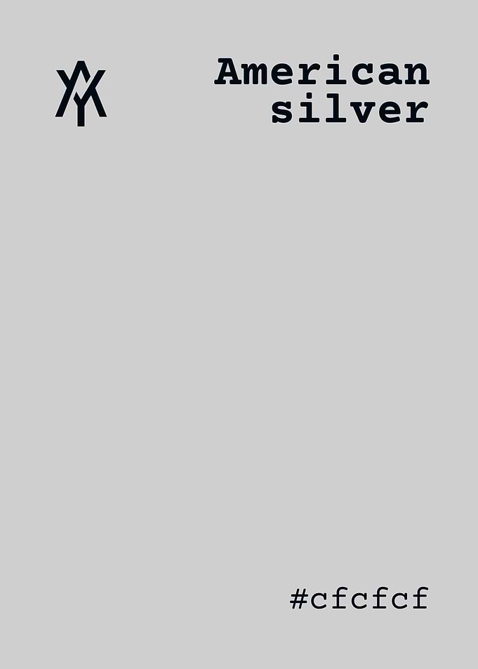 American Silver Minimalist Design