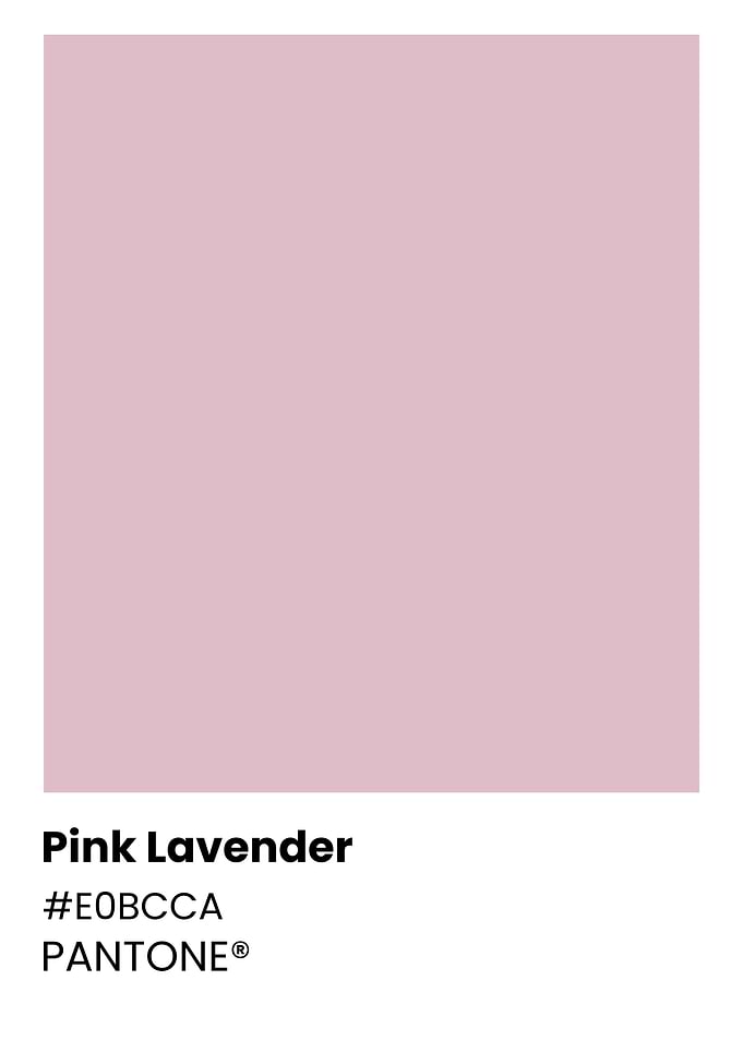 Pink Lavender Pantone Color Swatch