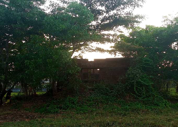 Overgrown Building in Nature FS3