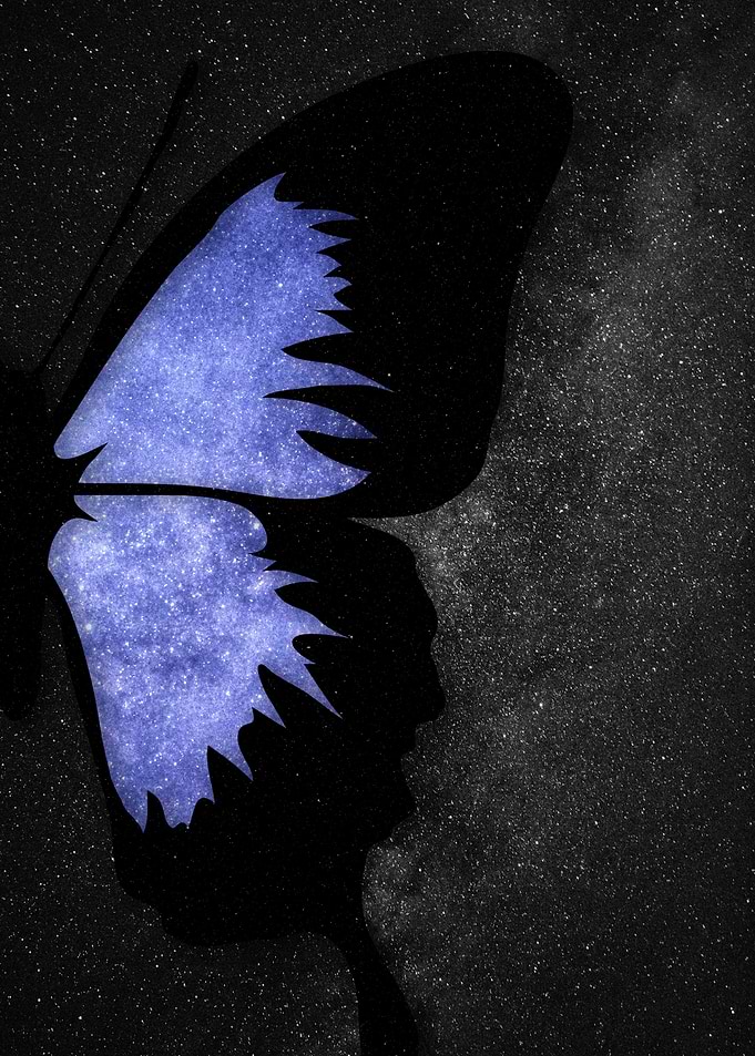 Butterfly Profile Silhouette with Starry Wings