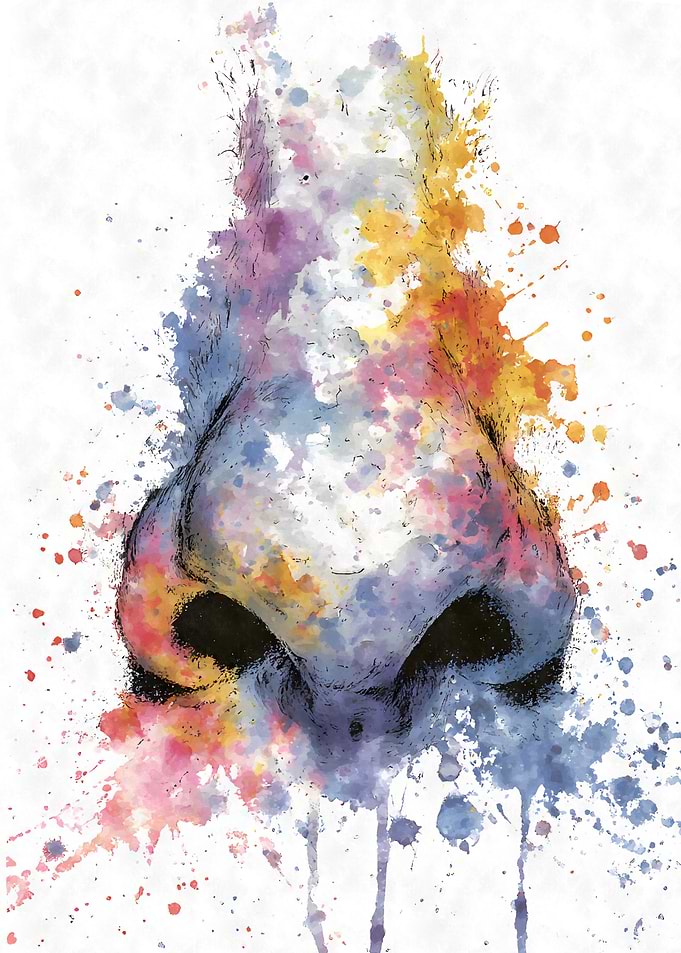 Watercolor Nose Anatomy Art