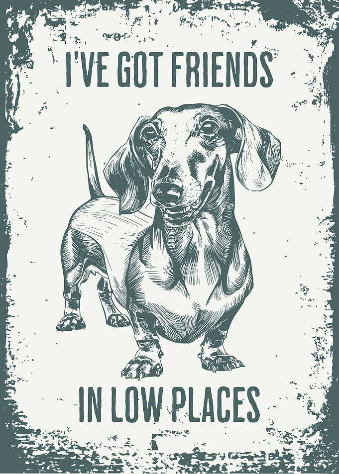 Dachshund Friends in Low Places