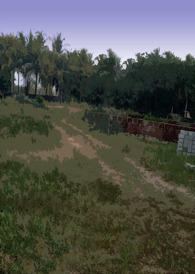 Tropical Landscape with Trees and Grass FG4