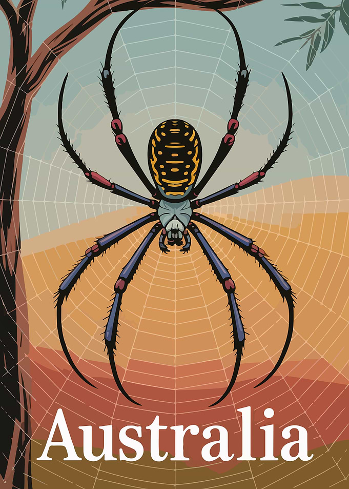 Australia Spider Web Travel Poster