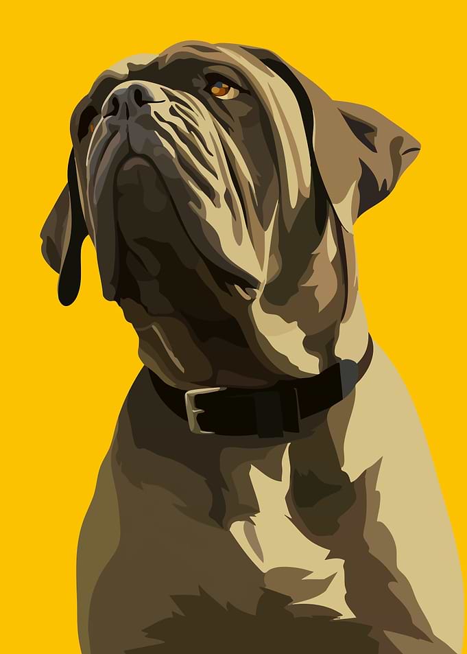 Mastiff Dog Portrait Cute Minimalist Art illustration