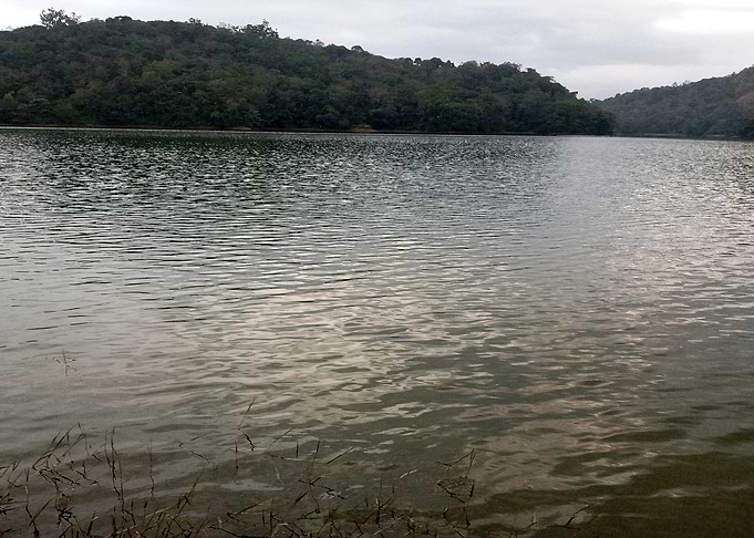Calm Lake Surrounded by Greenery Q4