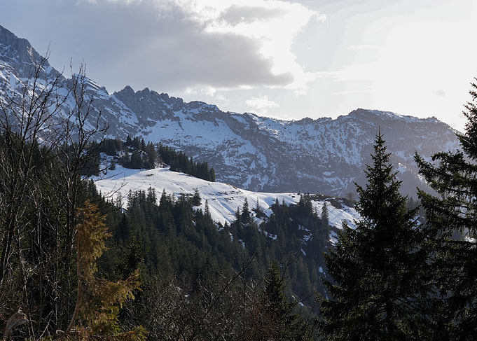 Snowy Mountain Landscape with Evergreen Trees | Rossfeld Panoramic Road, Germany