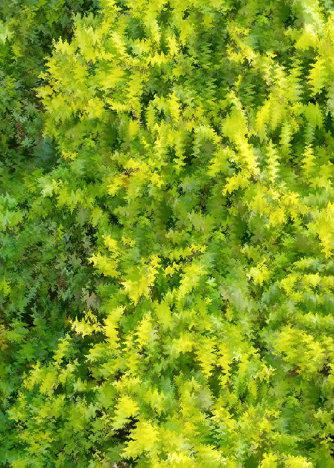 Abstract Green and Yellow Foliage Pattern Q5