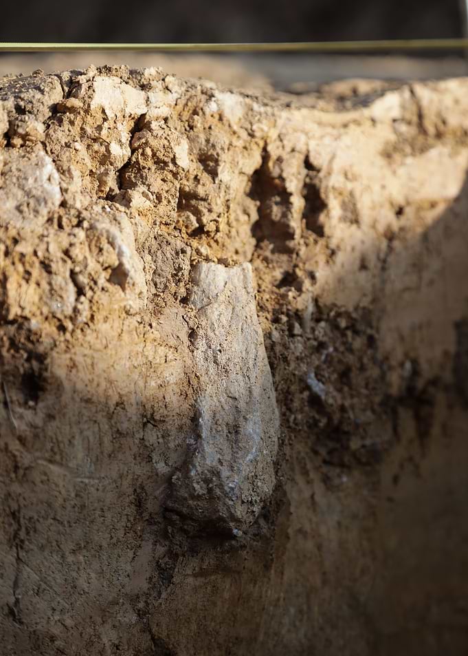 Excavation Site Close-Up