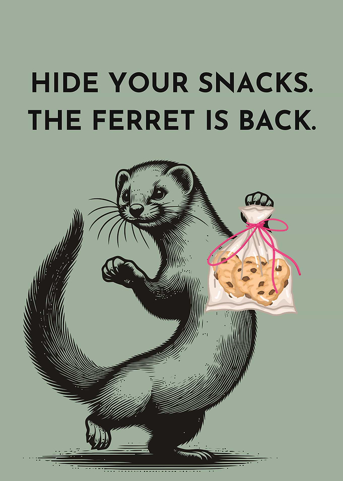 Hide Your Snacks: The Ferret Returns
