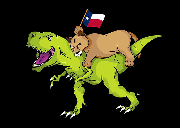 Texas Lover Kids Puma Mountain Lion Gift Texas Flag