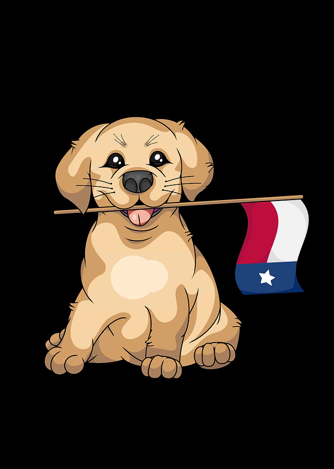 Texas Lover Kids Labrador Golden Retriever Texas Flag