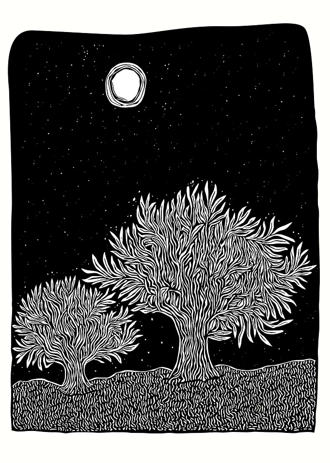Monochrome Night Landscape with Trees