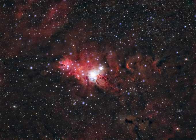 The Cone and the Fox Fur Nebula