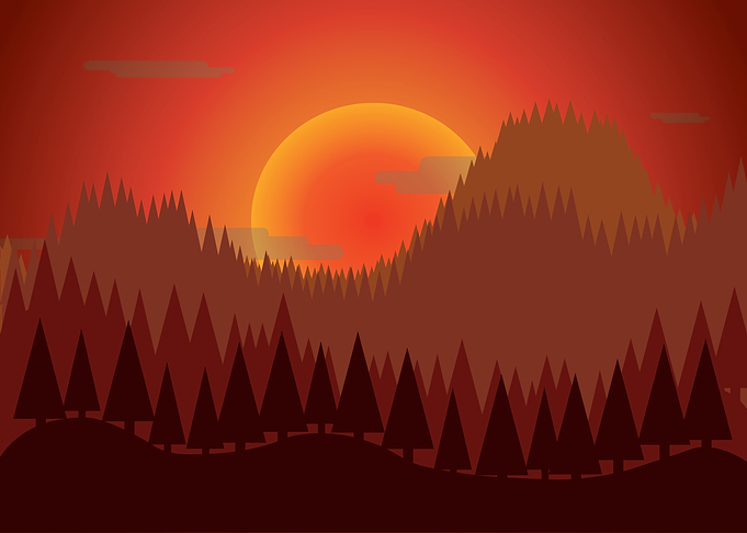 Sunset Forest Landscape