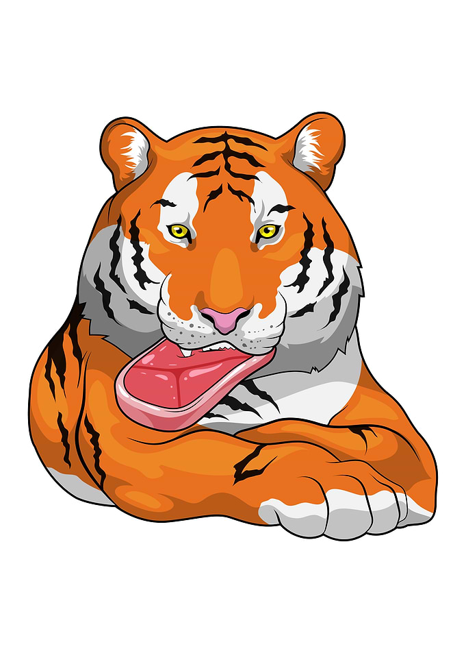 Tiger Eating Meat