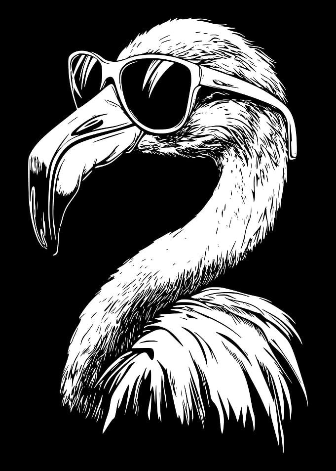 Cool Flamingo with Sunglasses