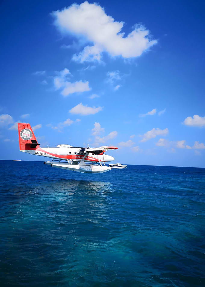 Seaplane over the ocean