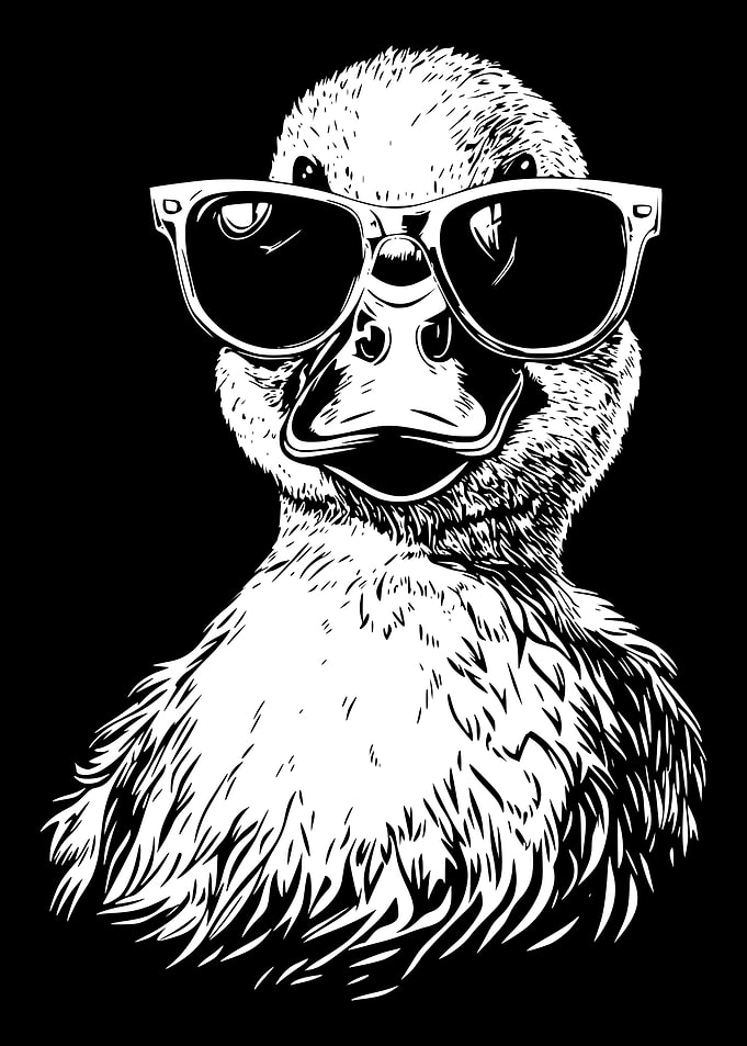 Cool Duck with Sunglasses