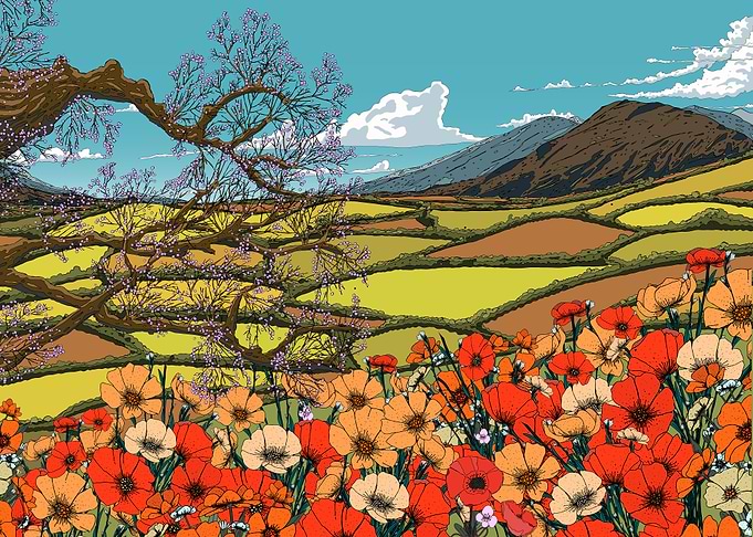 Poppy Field and Terraced Landscape